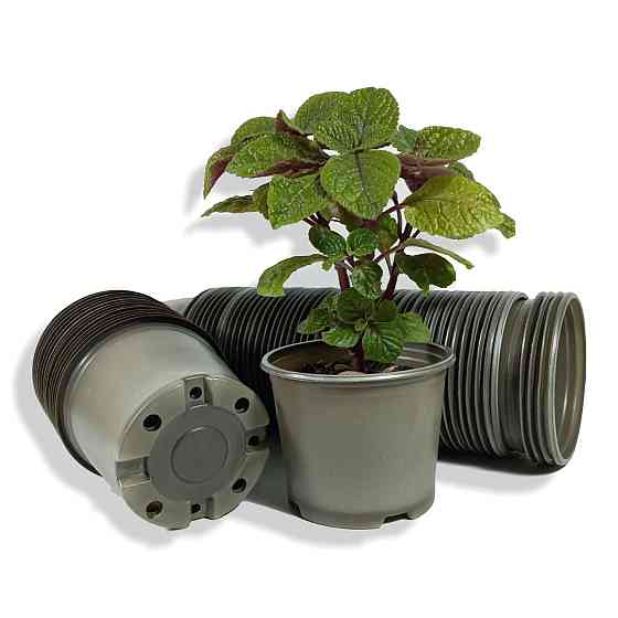 Стакан для розсади 380 мл пластиковий із дренажними отворами (1950 шт./ящик) Харків