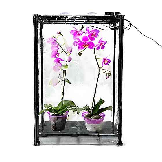 Міні-теплиця для орхідей та тропічних рослин Orchid Black - зволожувач, фітосвітло, таймер Борисполь