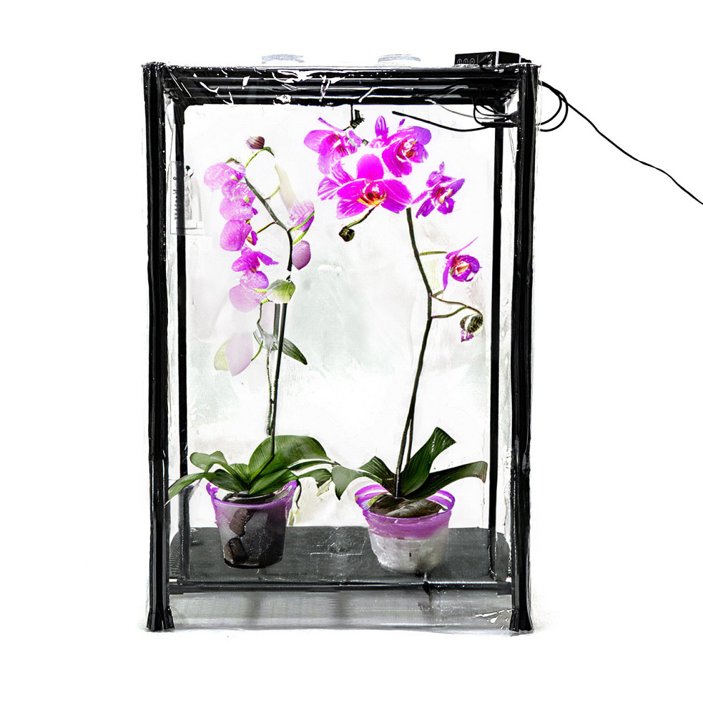 Міні-теплиця для орхідей та тропічних рослин Orchid Black - зволожувач, фітосвітло, таймер Бориспіль - фото 3