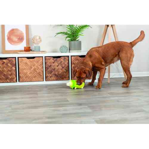 Іграшка Trixie для собак Капустяна свинка латекс 23 см світло-зелена Київ