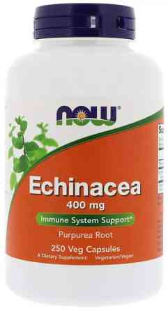 Эхинацея Now Foods Echinacea 400 мг 250 вег капс Киев