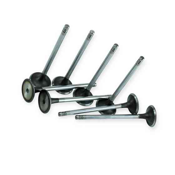 Клапана Amulet, ZAZ-Forza впуск 8шт Мукачево