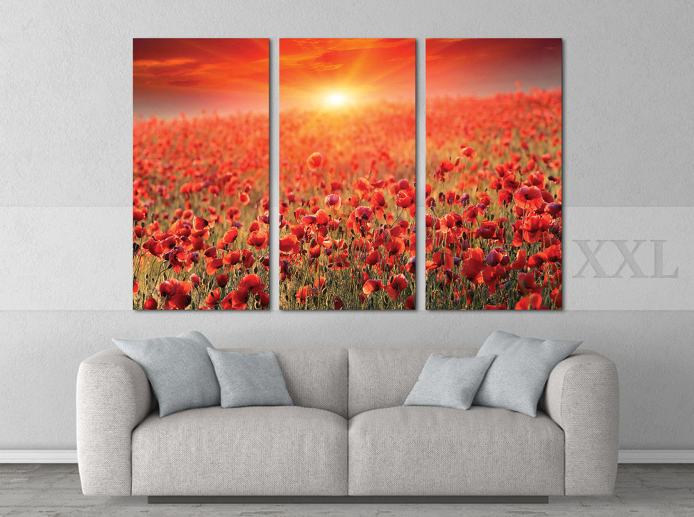 Модульна картина Маки Світанок Art-65_XXL Київ - фото 2