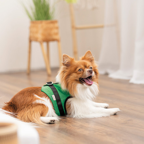 Шлейка Ross ТМ Pet Fashion для собак S Київ - фото 4