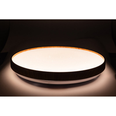 Светильник Vestum FOREST зоряне небо 60W 395*65мм 3000К-6500К з ДК тік (VS-91061) Винница - изображение 6