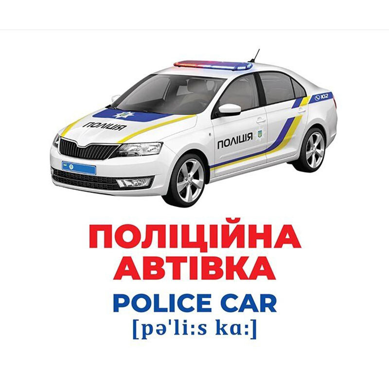 Набор развивающих карточек Гений с пеленок 