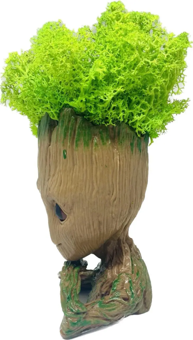 Кашпо горщик зі стабілізованим мохом Грут Groot G3 Київ - фото 2