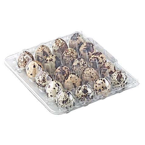 Упаковка для перепелиных яиц 20 ячеек (квадратная) ПРОЗРАЧНАЯ (50 шт) Харьков