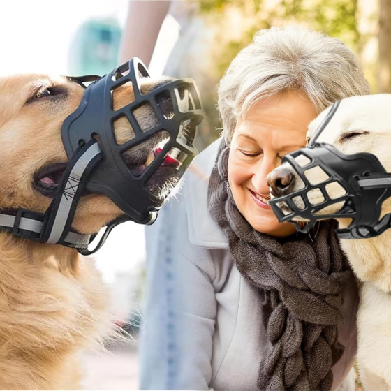 Намордник для собак розмір 5 (товар вживаний) Луцк