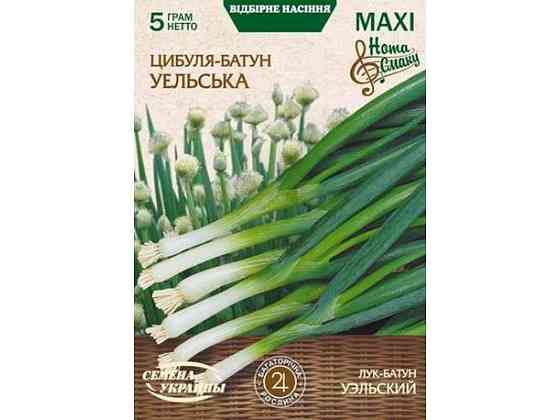 Максі Цибуля-батун УЕЛЬСЬКА 5г (10 пачок) ТМ НАСІННЯ УКРАЇНИ Київ