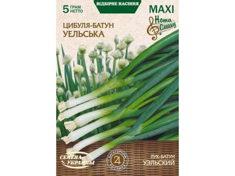 Макси Цибуля батутун УЛЬ91 5г (10 пачек) ТМ НАСТОЕНИЯ УКРАИНЫ Киев - изображение 1