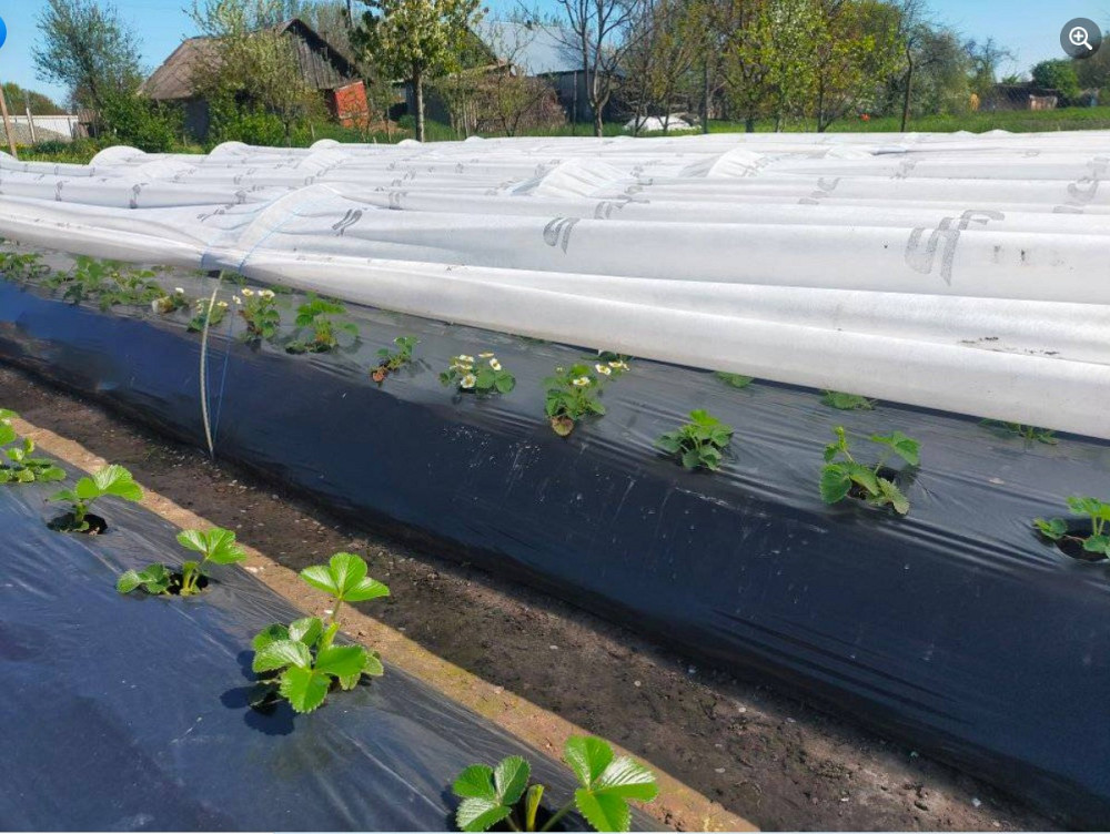 Агроволокно 30 г/м² 3,2 х100м