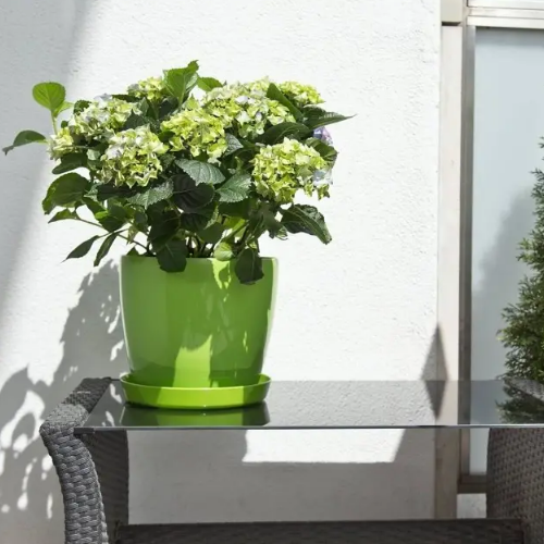 Вазон Магнолія 15,5см світло-зелений Ламела Житомир - фото 4