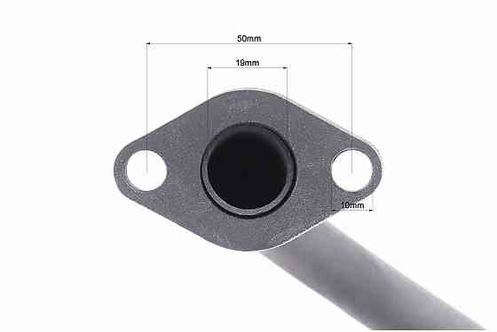 Глушник в зборі Киев