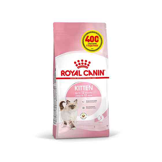 Корм для кошенят ROYAL CANIN KITTEN 1.6кг + 400 г у подарунок Київ