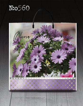 Полиэтиленовый пакет (40х40) с пластиковой ручкой  