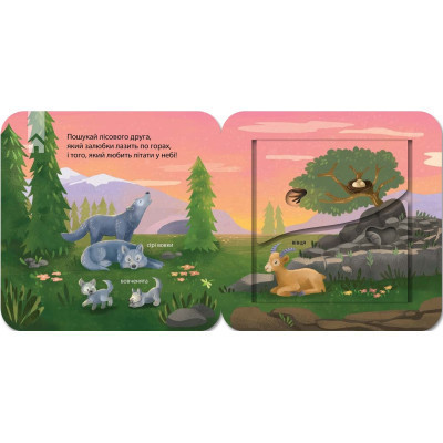 Книга Хто живе у лісі? Зазирни у віконечко - Джей Ґарнетт КСД (9786171502840) Вінниця - фото 3