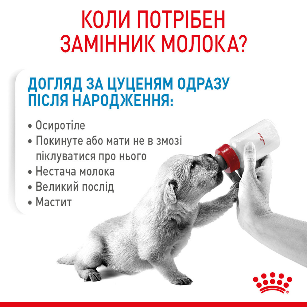 Молоко для новонароджених собак ROYAL CANIN BABYDOG MILK 0.4 кг Киев - изображение 2