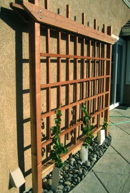 Пергола-шпалера 