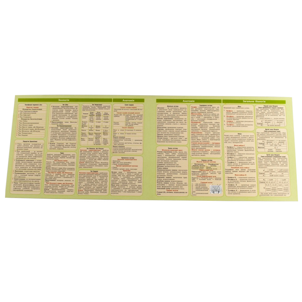 Картонка-підказка Біологія 6-11 кл. ZIRKA 66445 Вінниця - фото 3