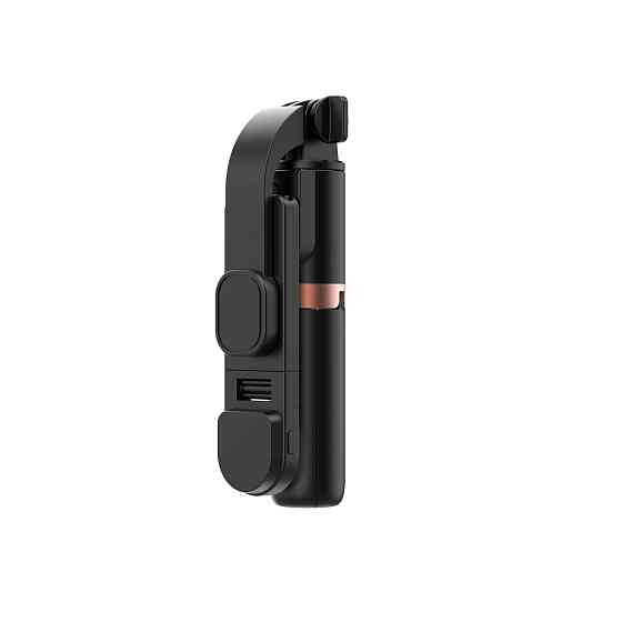 Селфи-трипод WIWU Mini Selfie Stick Wi-SE011 (with filled lights) Black Одесса