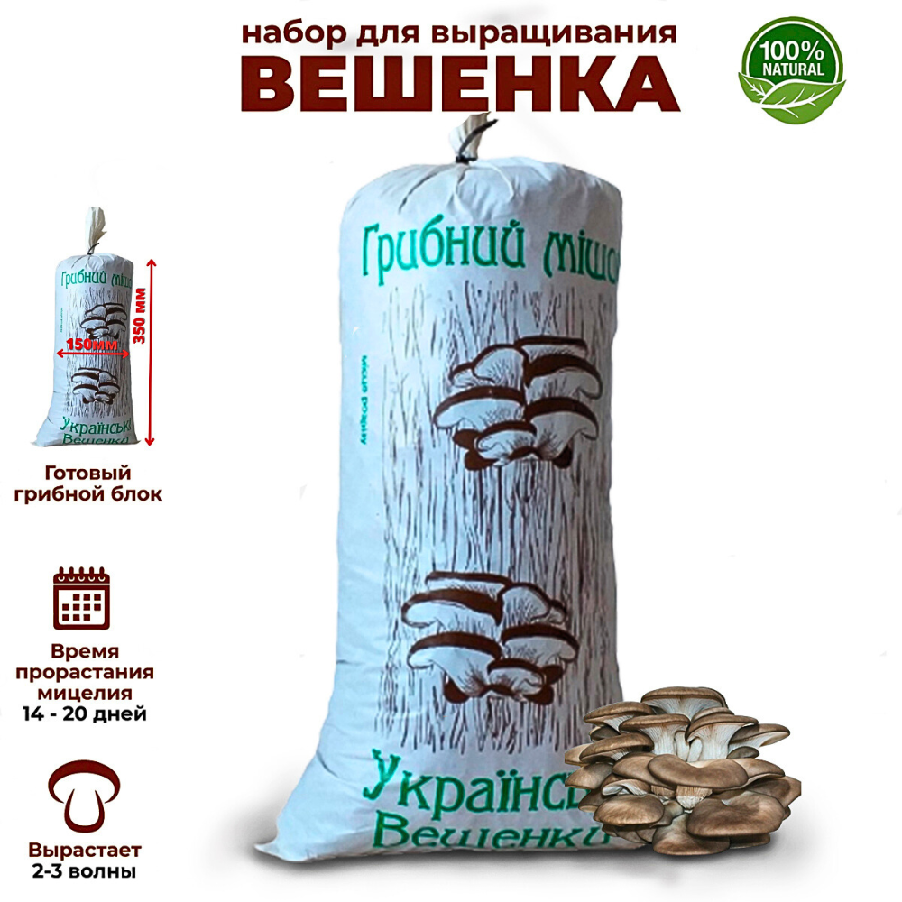 Грибний мішок для вирощування "Українська Глива" Харків - фото 10