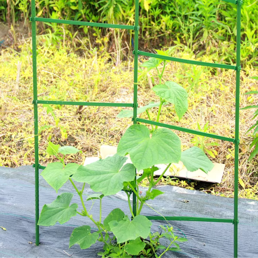 Опора-решетка для комнатных и садовых высокорослых цветов,растений, рассады томата,огурца,перца высота 120 см Каменец-Подольский - изображение 8
