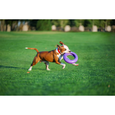 Игрушка для собак Puller Maxi 30 см (6492) Винница - изображение 11