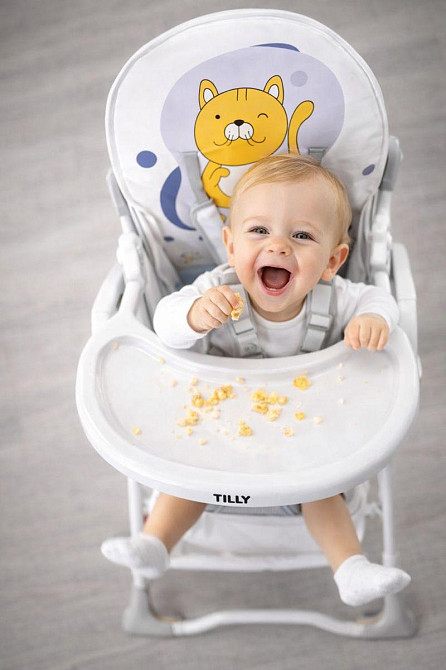 Стул для кормления TILLY Buddy T-633/2 Lilac Cat Киев - изображение 1