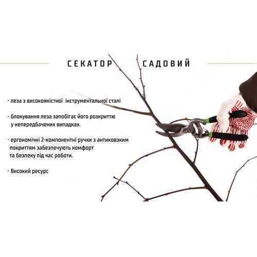 Секатор 250 мм (PS-22250) Alloid Одеса