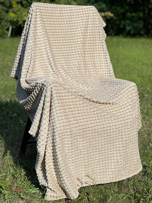 Ecotton Плед Ecotton 200х220 см Well Soft Lux із мікрофібри Beige молочний Коломия - фото 2