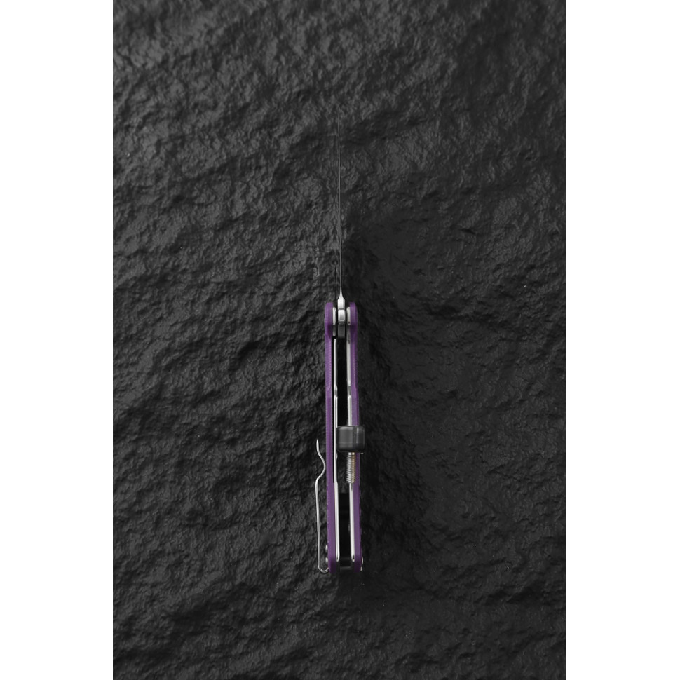 Ніж складаний Ganzo G769-PL Киев - изображение 9