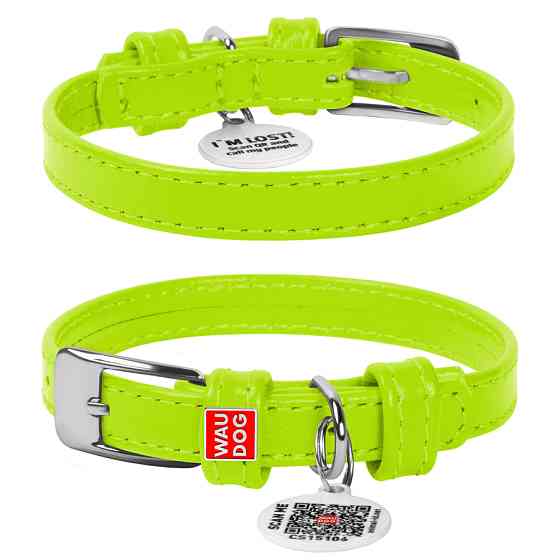 Нашийник для собак шкіряний WAUDOG Glamour з QR паспортом, без прикрас, XS, Ш 12 мм, Дов 21-29 Коломыя