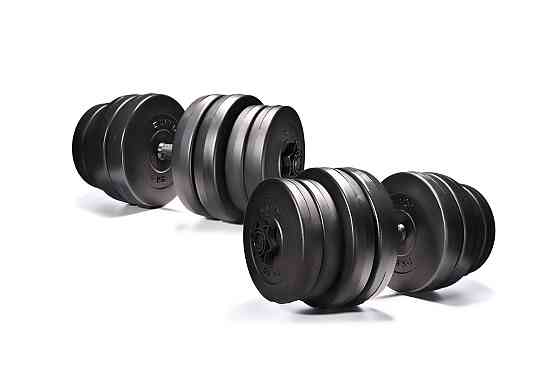 Гантелі Elitum 2 х 31кг Київ