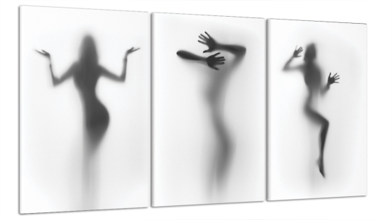 Модульна картина Дівчина Силует Art-33_B3 Київ