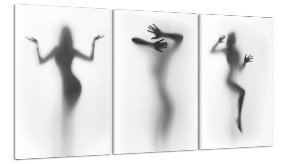 Модульна картина Дівчина Силует Art-33_B3 Київ - фото 1