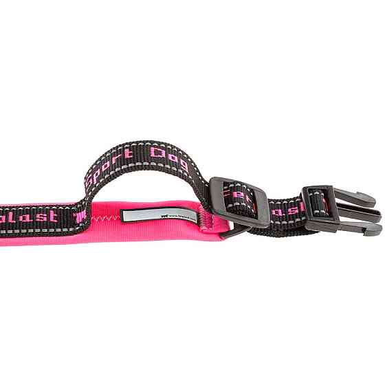 Ошейник для собак Ferplast Sport Dog С (Ферпласт Спорт Дог С) 450, Розовый, 25 Запорожье