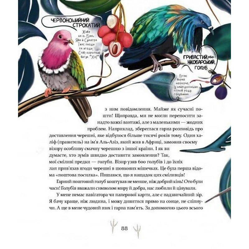 Дитяча книга "Такі, як ми. Про тварин та їхні характери" 253615 Вінниця - фото 5