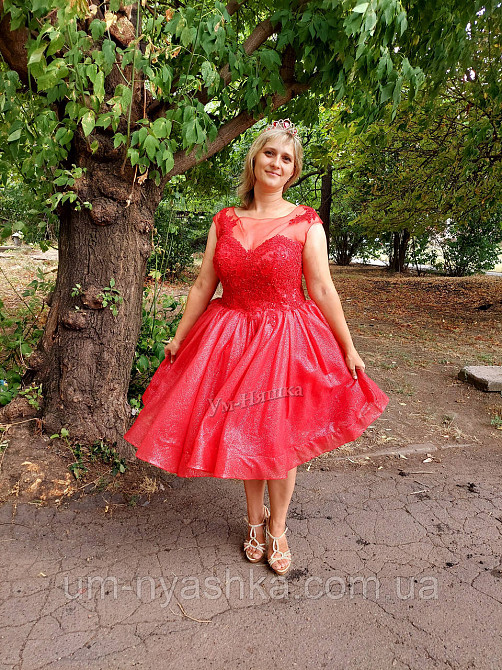 Вечірня сукня жіноча р.52 Кривий Ріг - фото 3