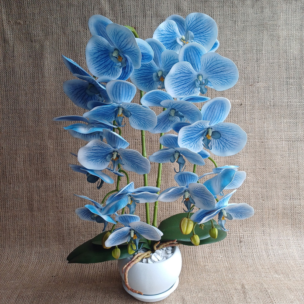 Штучна латексна орхідея VIP у білому керамічному кашпо на дві гілки блакитна Дніпро - фото 1