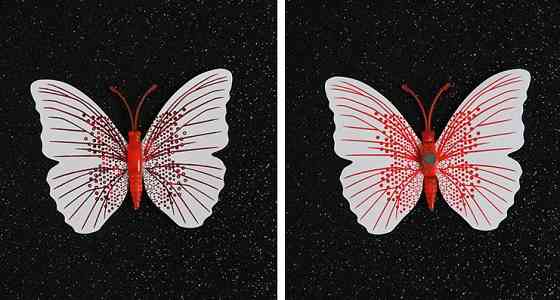 Набор декоративных бабочек с блестками 12 штук бело-красный Киев