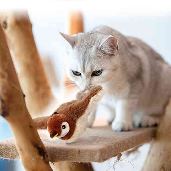 Интерактивная игрушка для кошек 