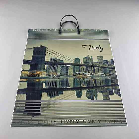 Пакет-сумка 40х45 з пластиковою ручкою  "Ливели" 797 (10 шт) Харків