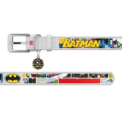 Ошейник для животных WAUDOG Design с QR-паспортом "Бэтмен 1" Ш 20 мм Д 29-38 см белый (0020-1003-15) Винница