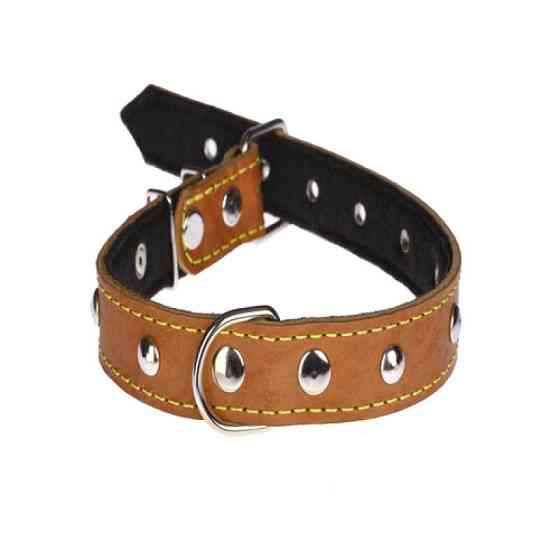 Ошейник 315 25 мм "Классик "кожа+синтепон" украш. Вінниця