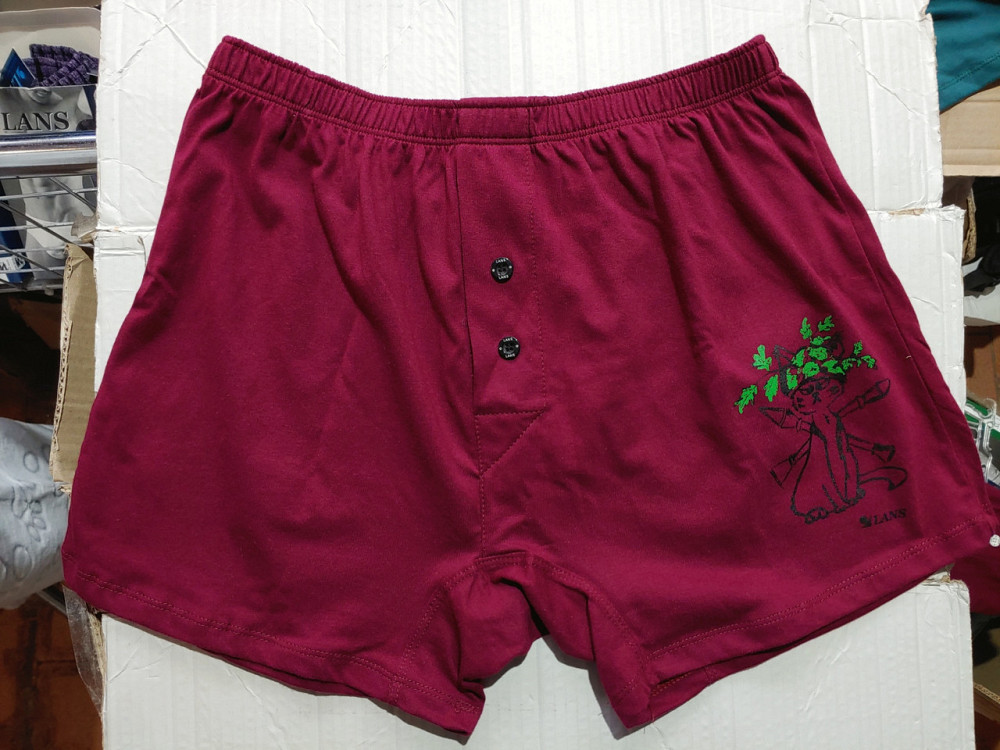 Чоловічі труси сімейні з бавовни Lans 01/021 M, Червоний Киев - изображение 2