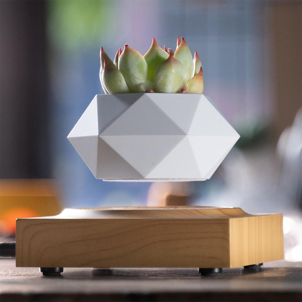 Магнітний левітаційний горщик для рослин HCNT Magnetic Levitating Pot M10-FP  Wood Grain Київ - фото 2