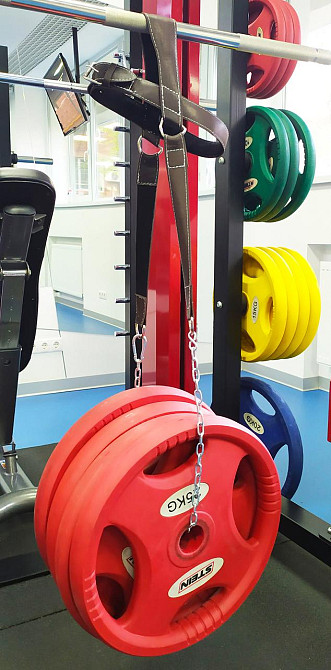 EasyFit Упряж EasyFit для шиї (шкіра) Коломия - фото 5