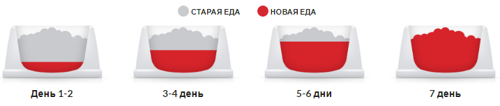 Hills Science Plan Kitten Chicken (Хиллс СП Киттен Курица) для котят до 1 года, беременных и кормящих кошек 7 кг Запорожье - изображение 5