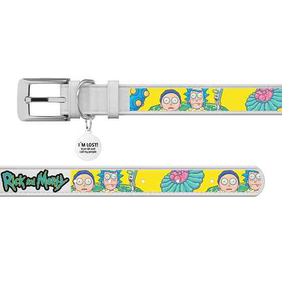 Нашийник для собак шкіряний WAUDOG Design з QR-паспортом, малюнок "Рік і Морті 1", ХXS, Ш 12 мм, Д 18-24 см, Вінниця